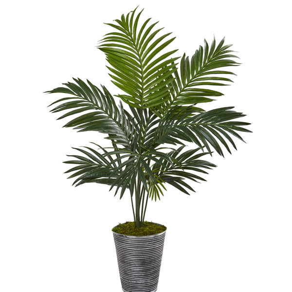 Bay Isle Home Artificial Palm Tree in Planter Wayfair Canada